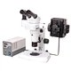 Fluorescent Binocular Stereo Microscope